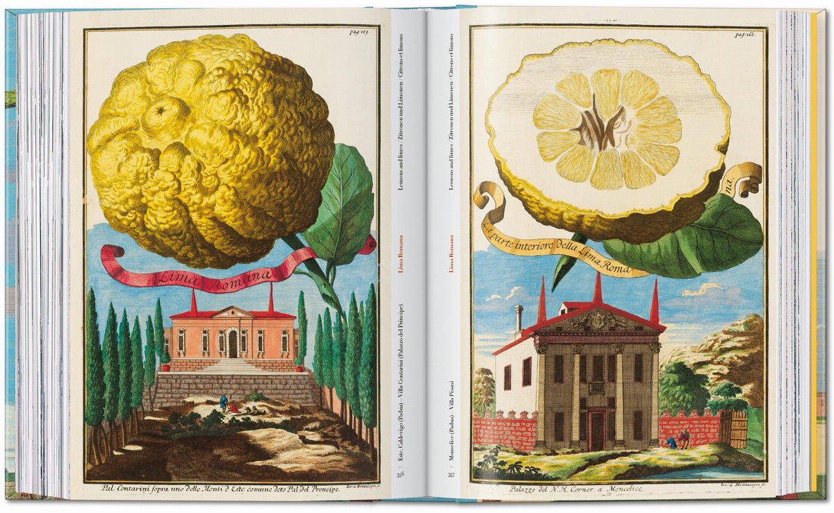 45th Anniversary: J.C. Volkamer. The Book Of Citrus Fruits