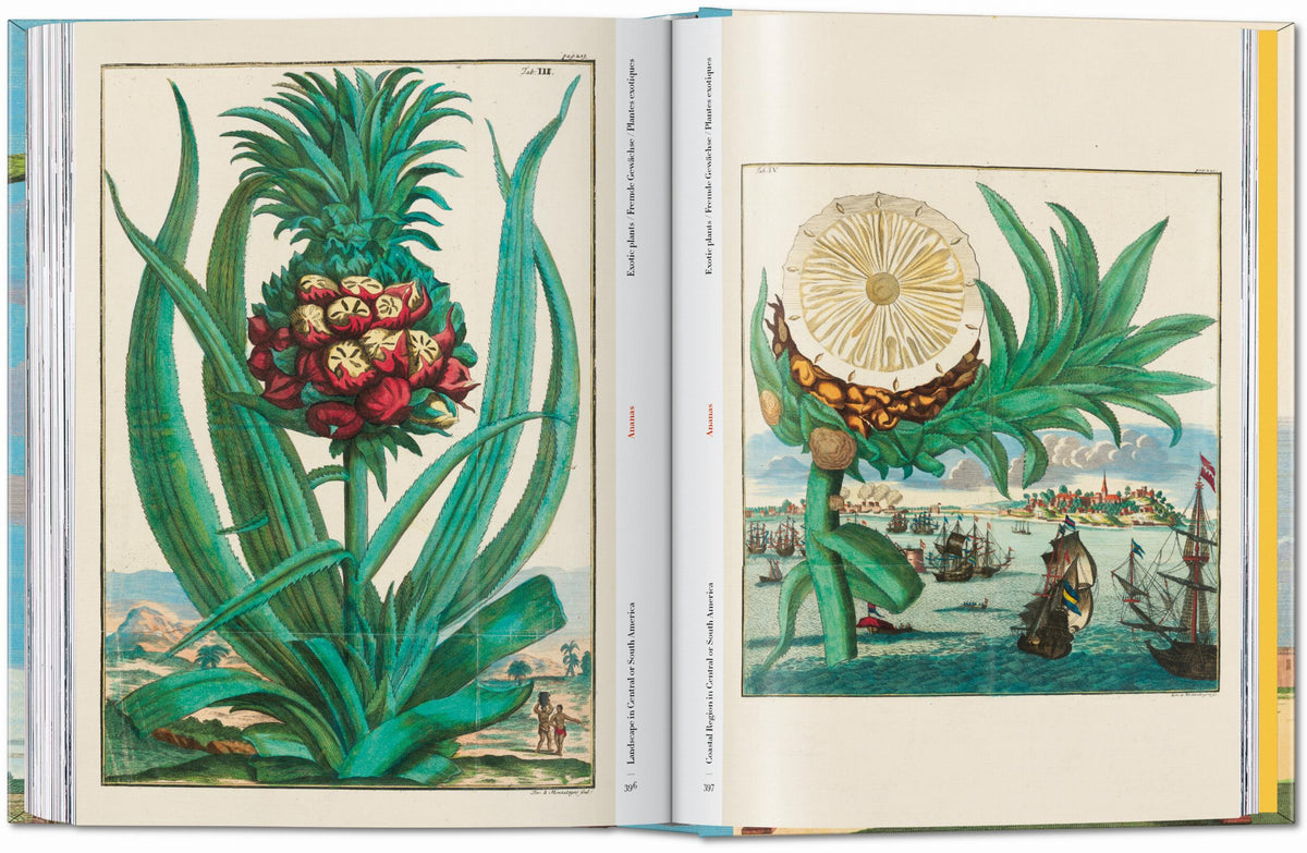 45th Anniversary: J.C. Volkamer. The Book Of Citrus Fruits