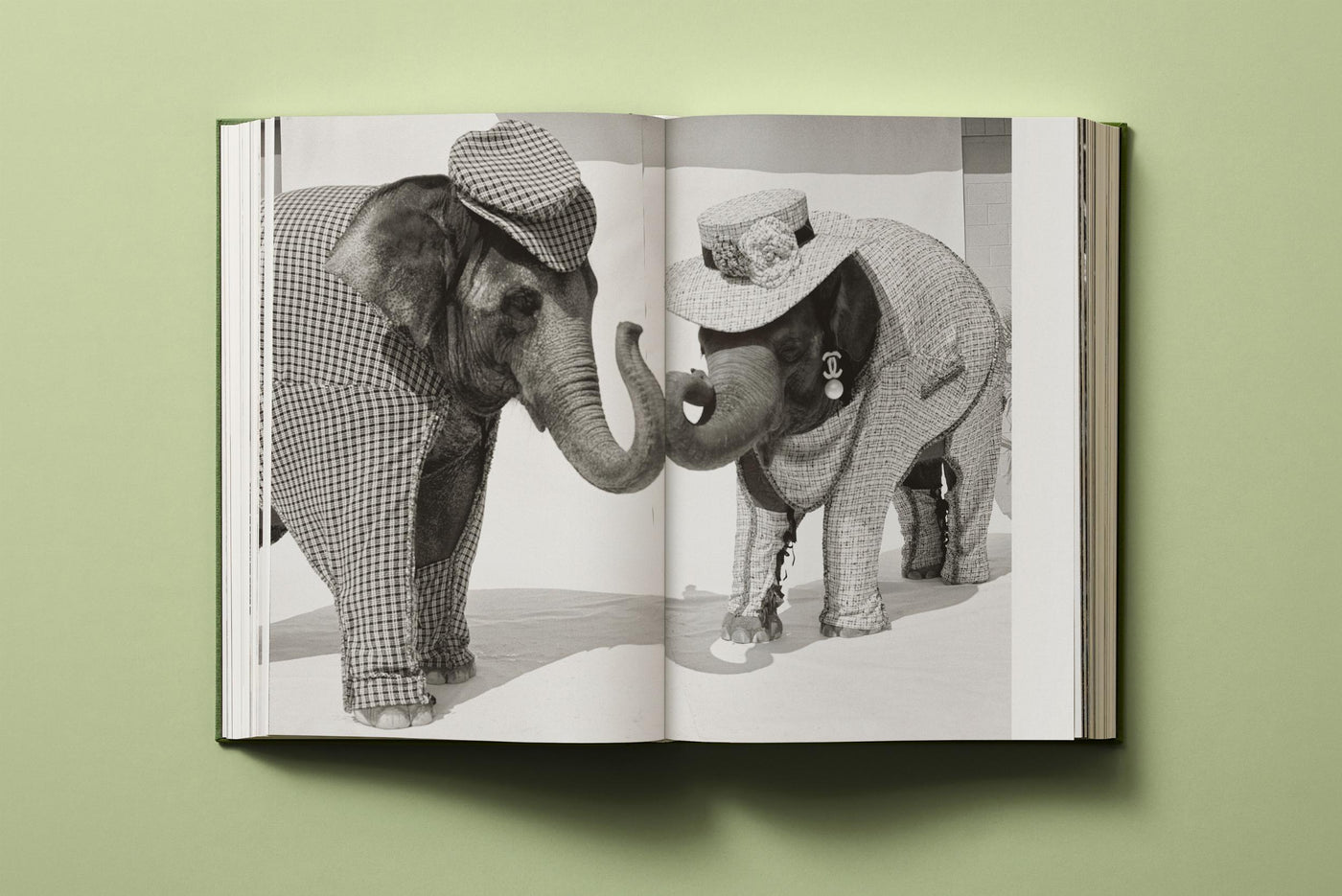 Bruce Weber. My Education XL