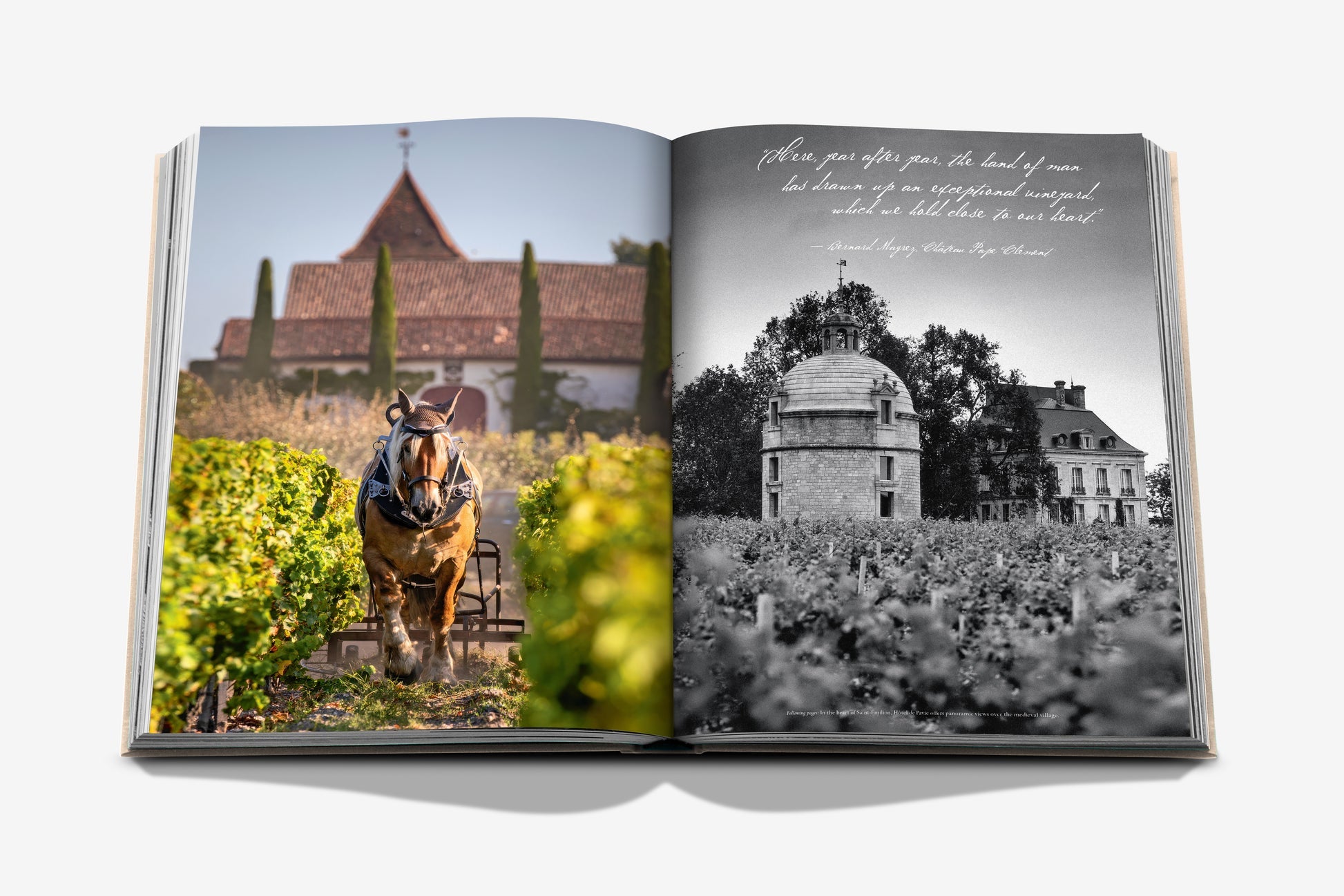 Wine & Travel France - Just Fabulous Palm Springs