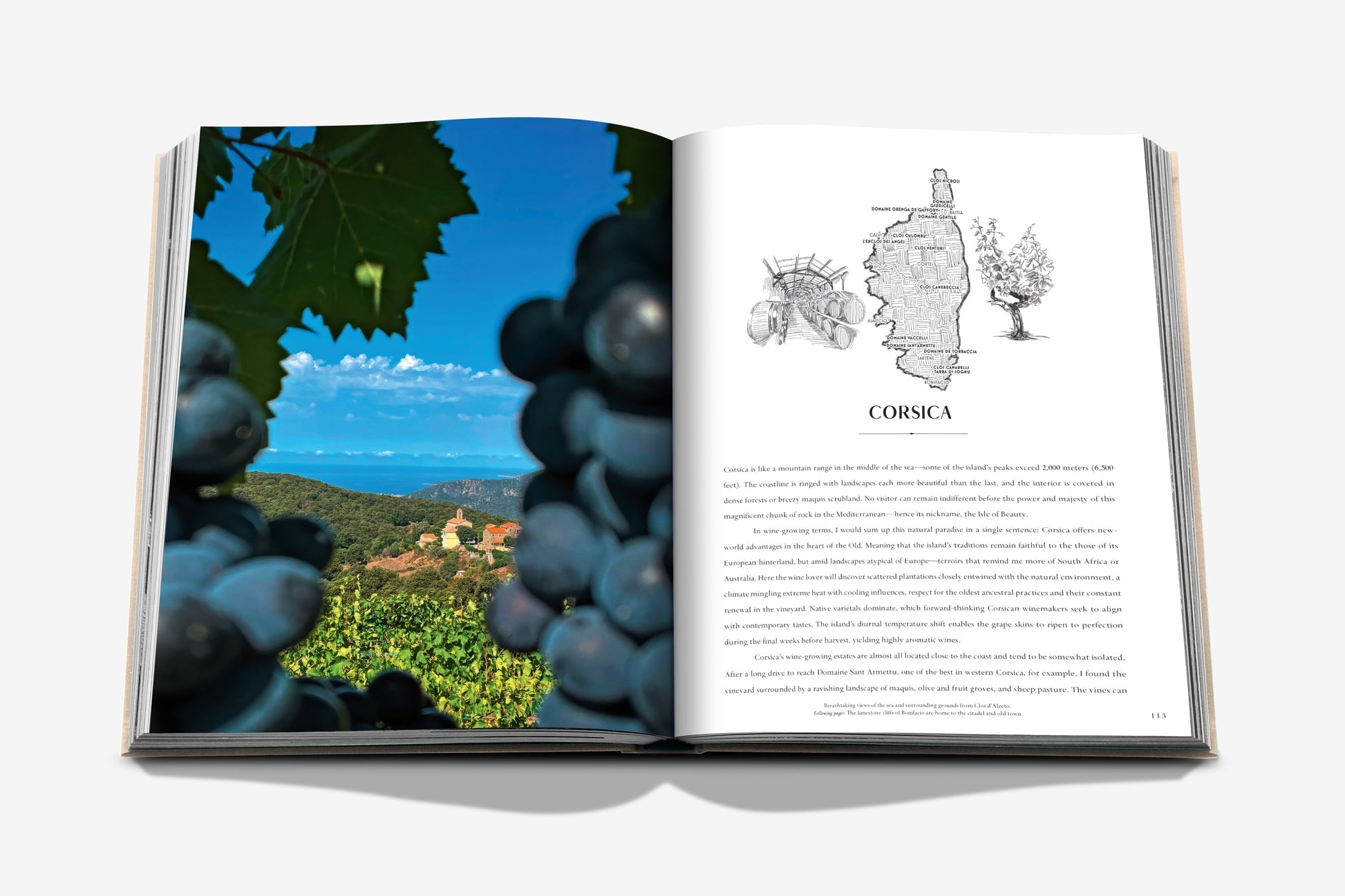 Wine & Travel France - Just Fabulous Palm Springs