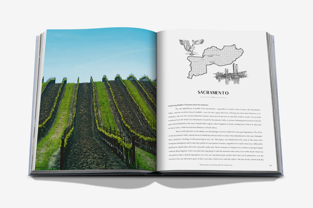 Wine & Travel United States Of America