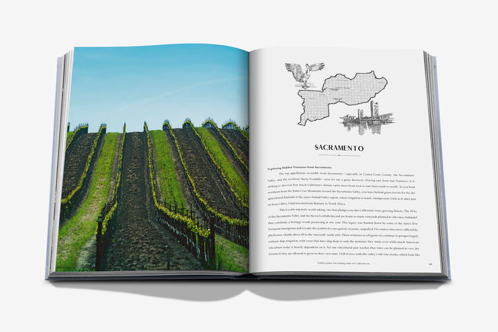 Wine & Travel United States Of America