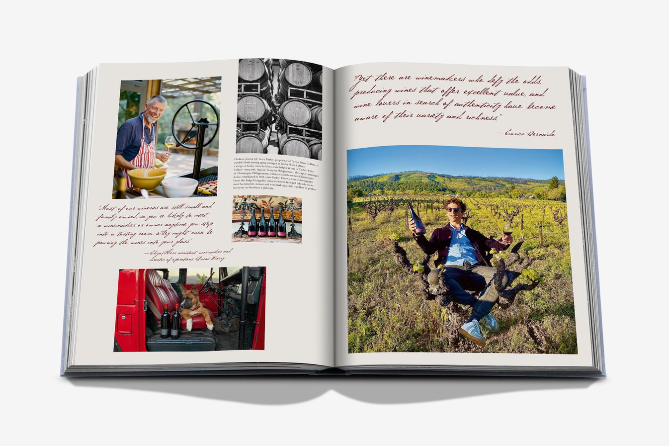 Wine & Travel United States Of America