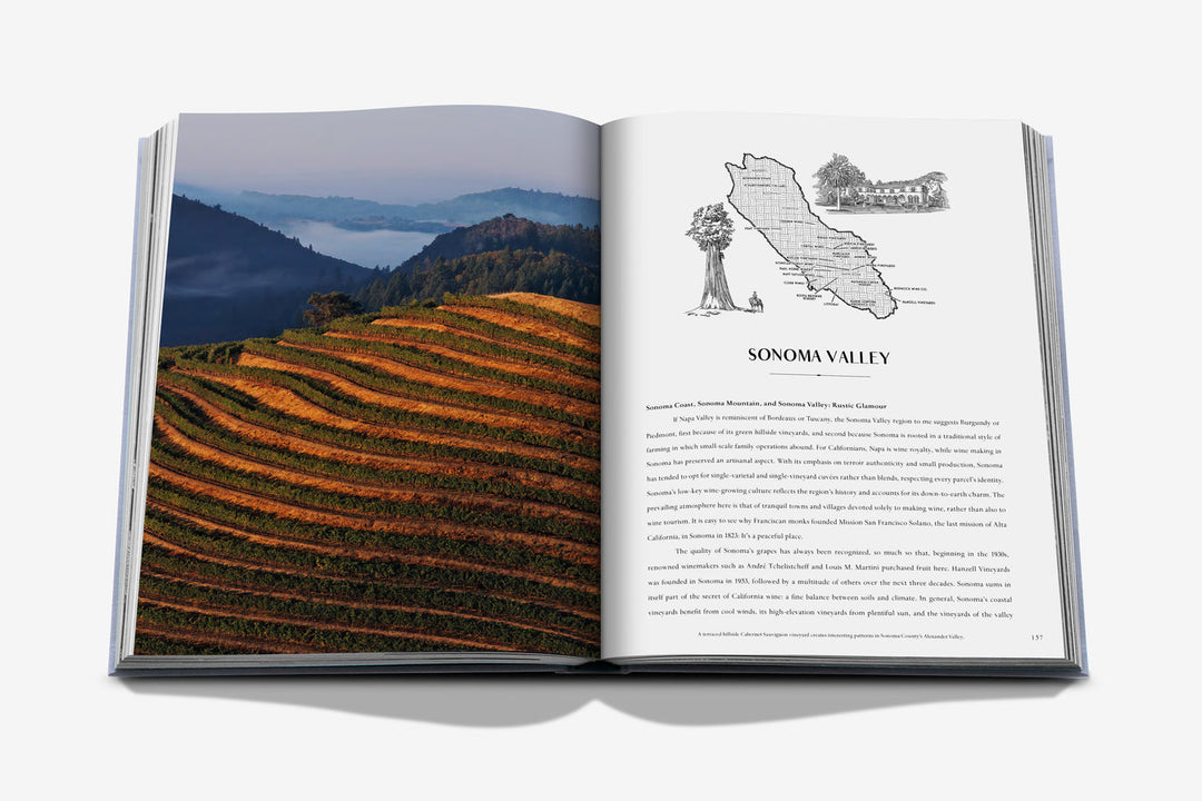 Wine & Travel United States Of America
