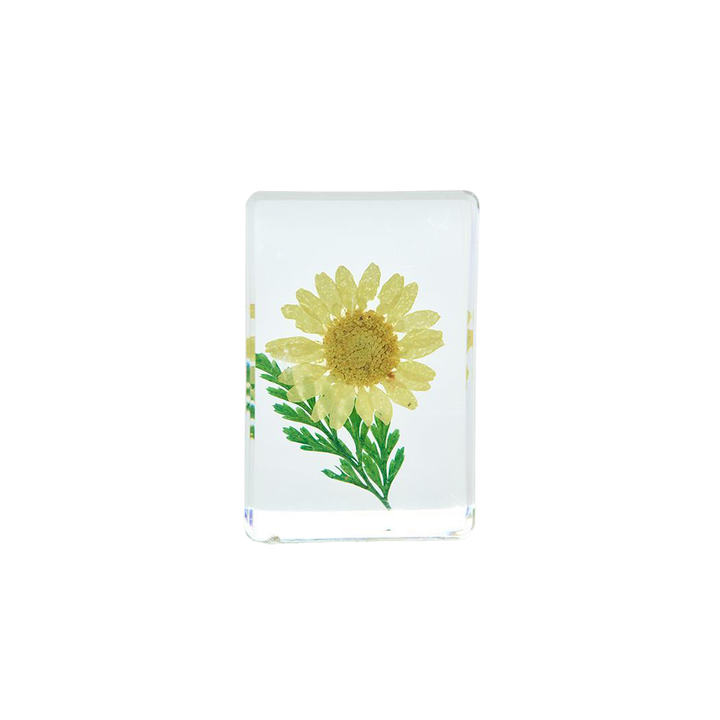 Wildflowers Pressed Floral Keepsake In Gift Box - Yellow Zinnia - Just Fabulous Palm Springs