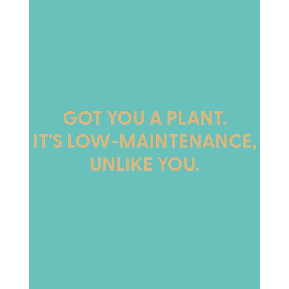 Got You A Plant It's Low Maintenance Unlike You Greeting Card
