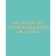 Got You A Plant It's Low Maintenance Unlike You Greeting Card
