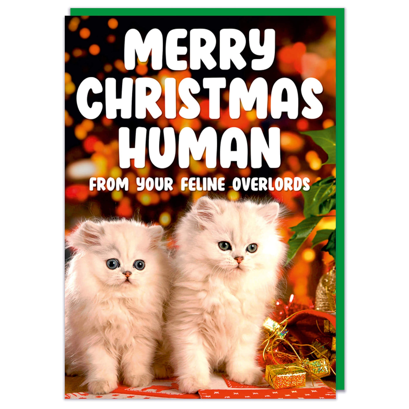 Merry Christmas Human Holiday Card