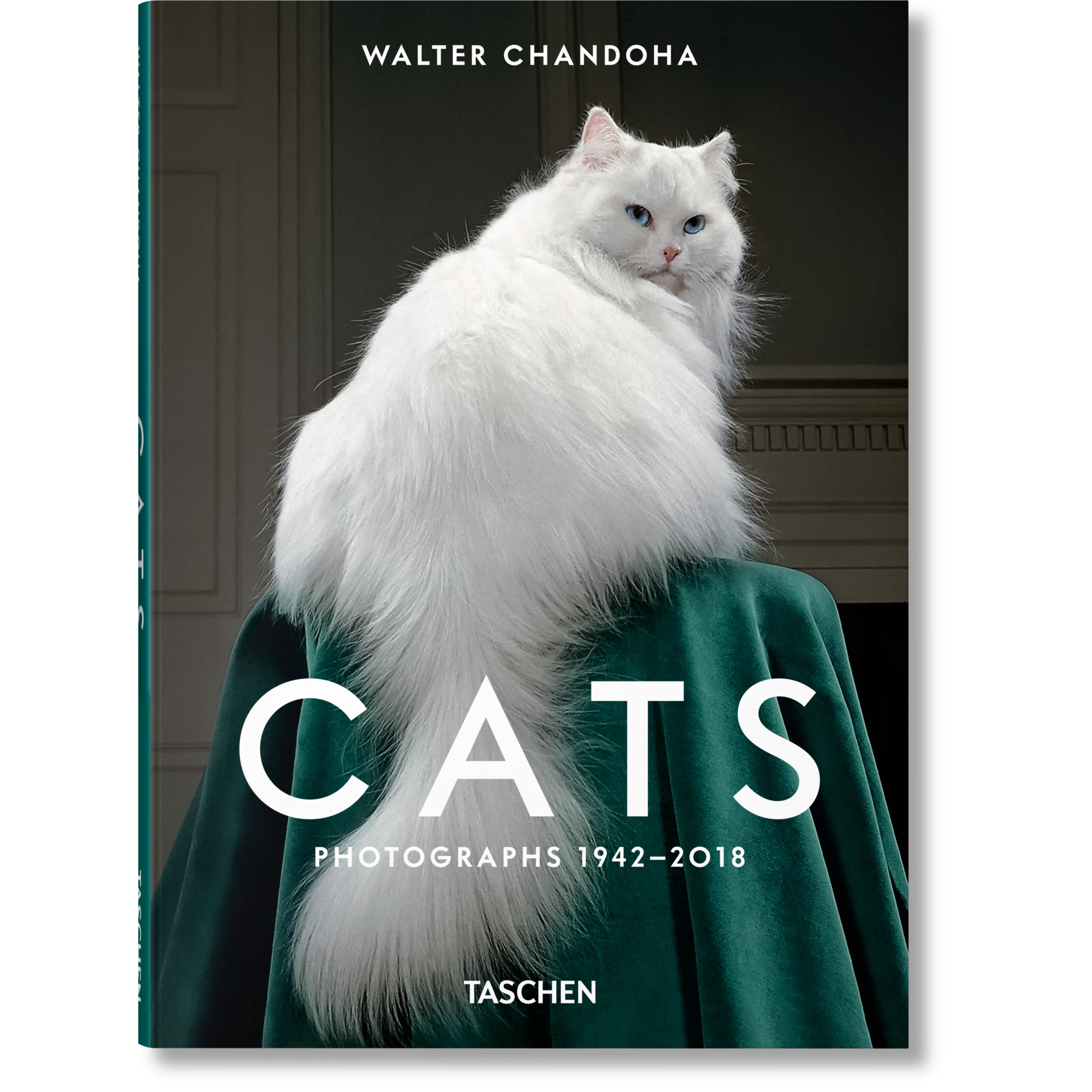 ICONS: Walter Chandoha - Cats: Photographs 1942-2018 - Just Fabulous Palm Springs
