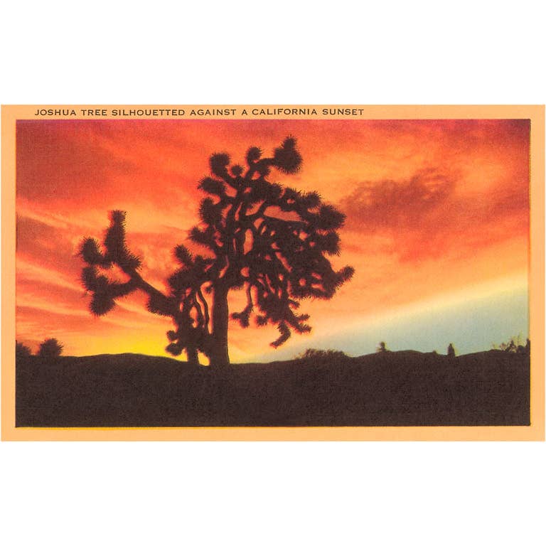 Joshua Tree Sunset Palm Springs Sticker - Just Fabulous Palm Springs