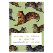 Coolest Cat Birthday Card