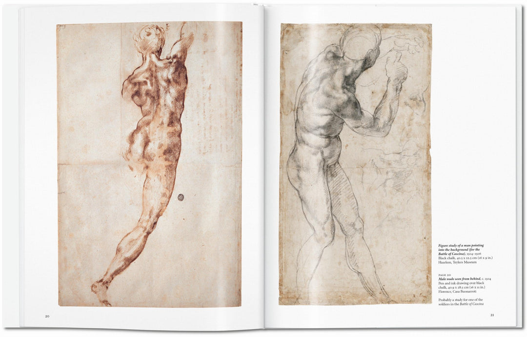 Basic: Michelangelo