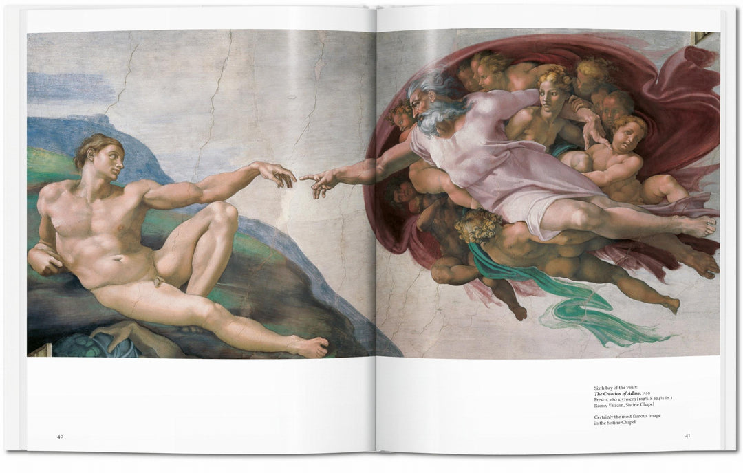 Basic: Michelangelo