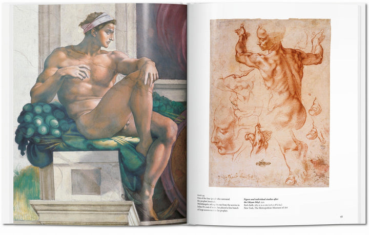 Basic: Michelangelo