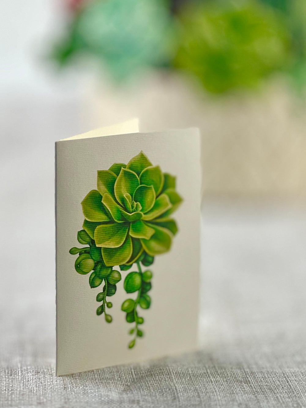 Cactus Garden Pop Up Card