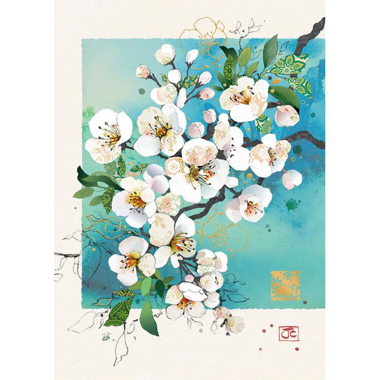 White Blossom Greeting Card
