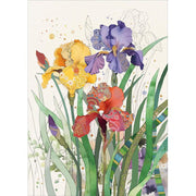Mixed Irises Greeting Card