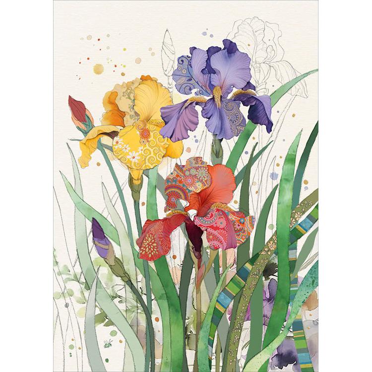 Mixed Irises Greeting Card