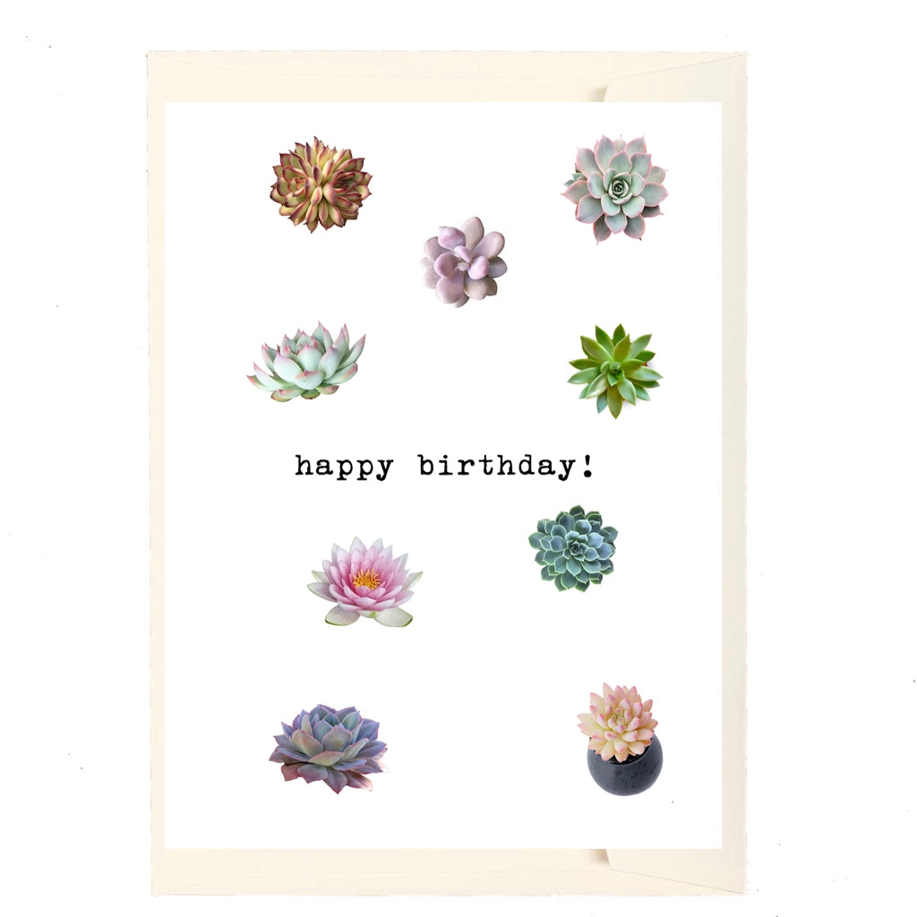 Happy Birthday!  Succulents Birthday Card