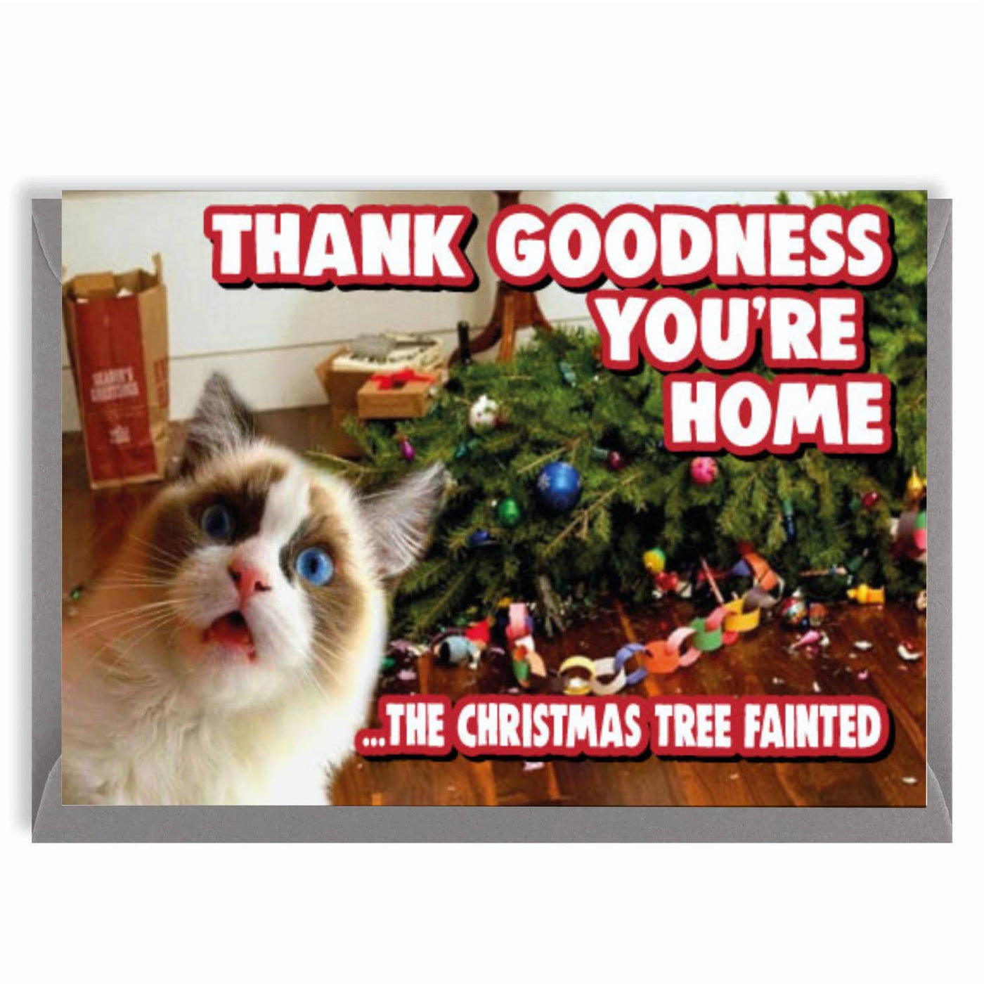 Thank Goodness You're Home Holiday Greeting Card