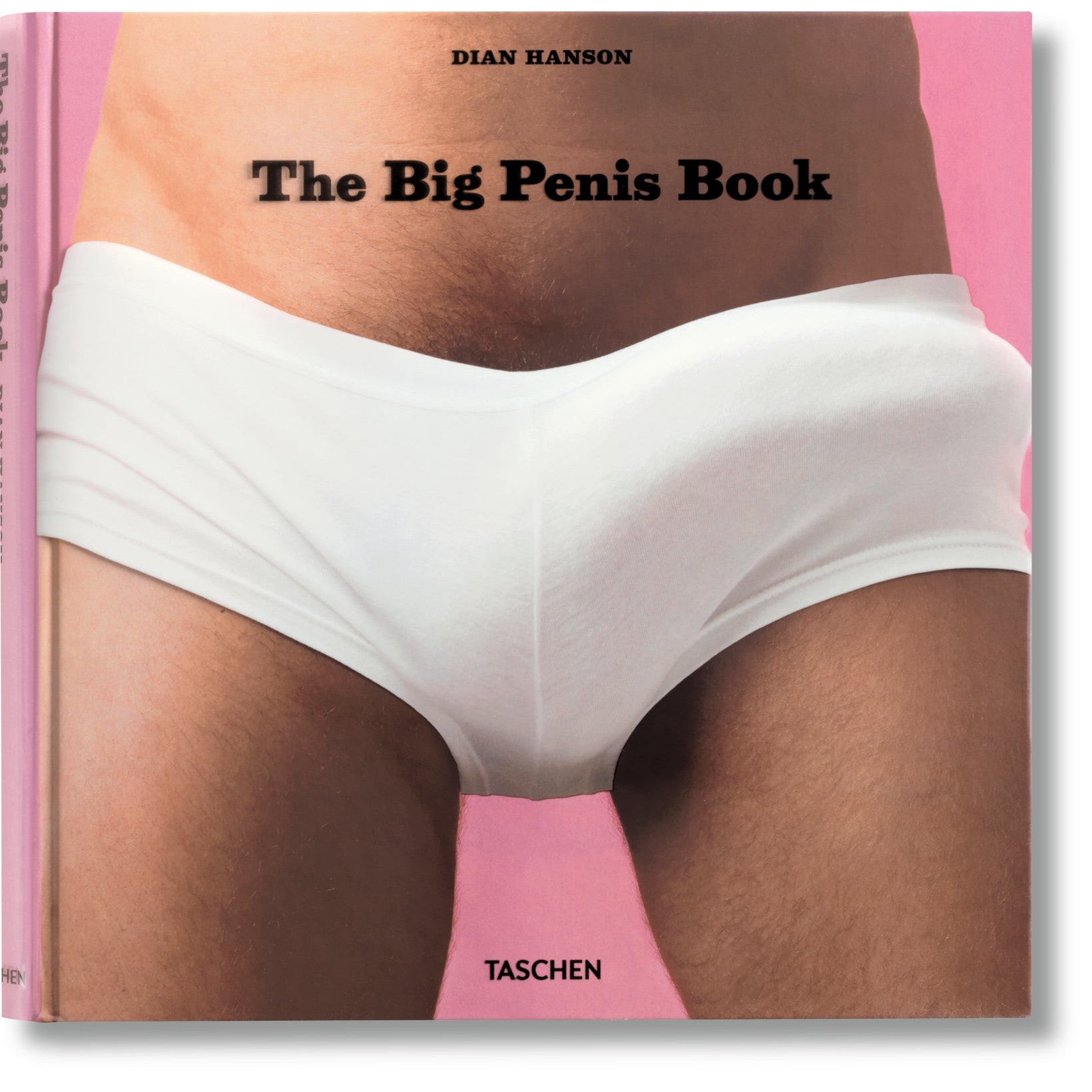 The Big "P" Book - Just Fabulous Palm Springs