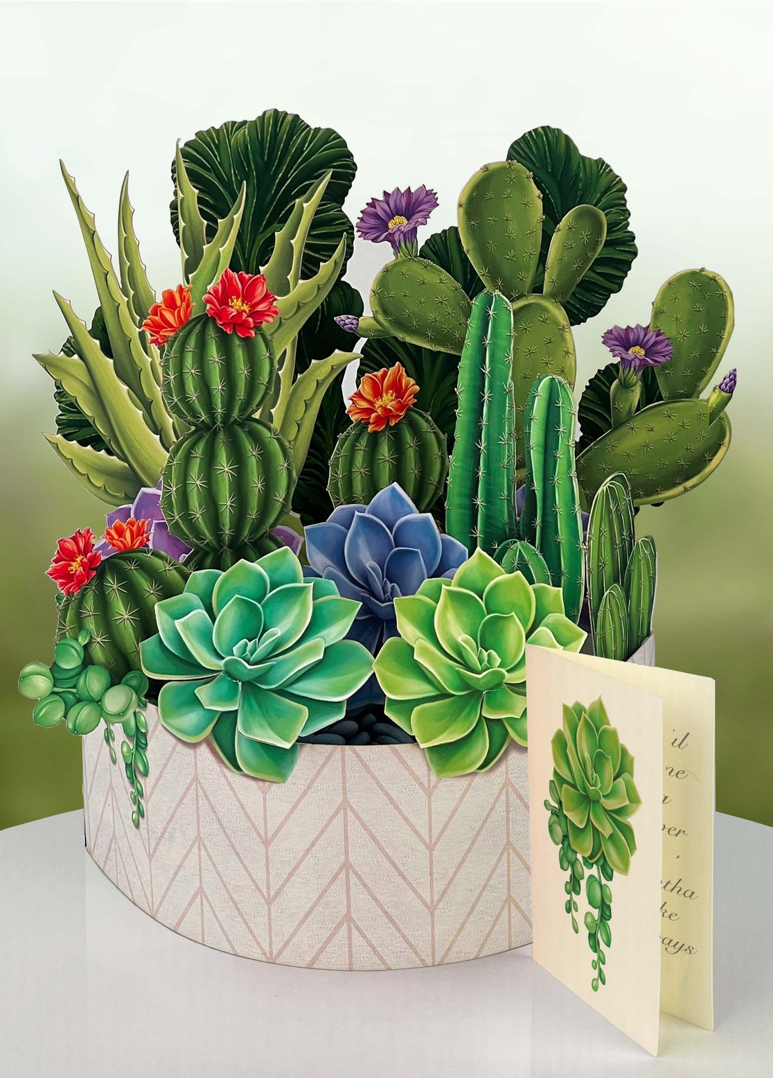 Cactus Garden Pop Up Card