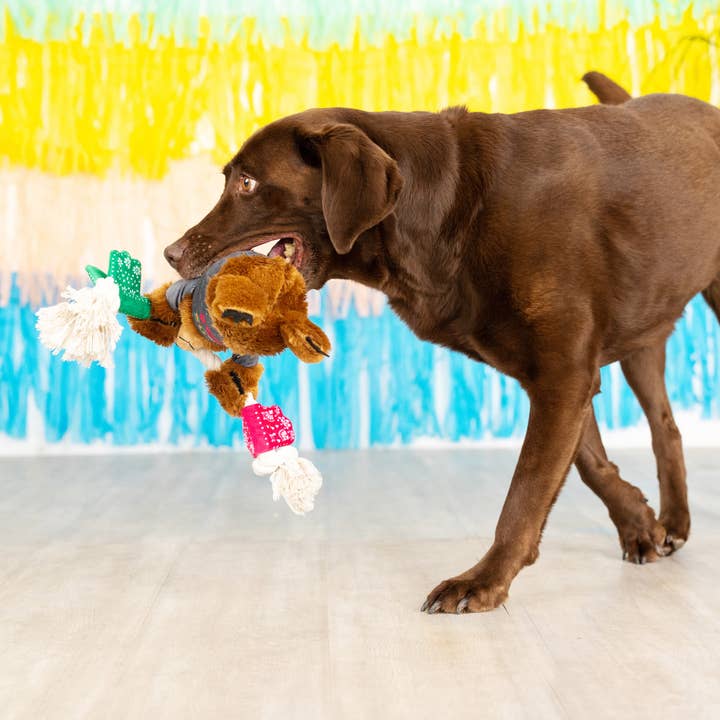 Tacos & Tequila Plush Dog Toy