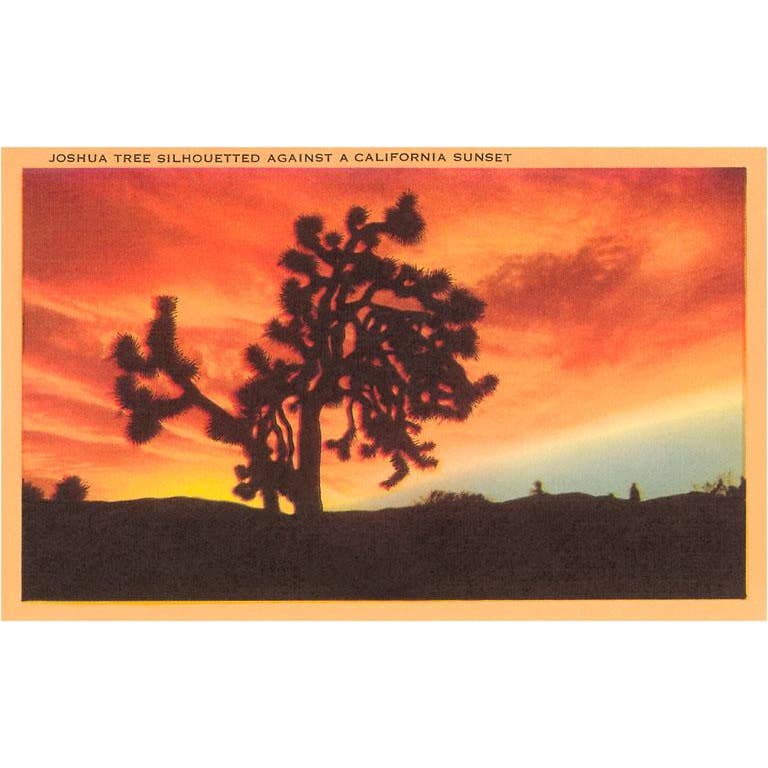 Joshua Tree Sunset Blank Greeting Card