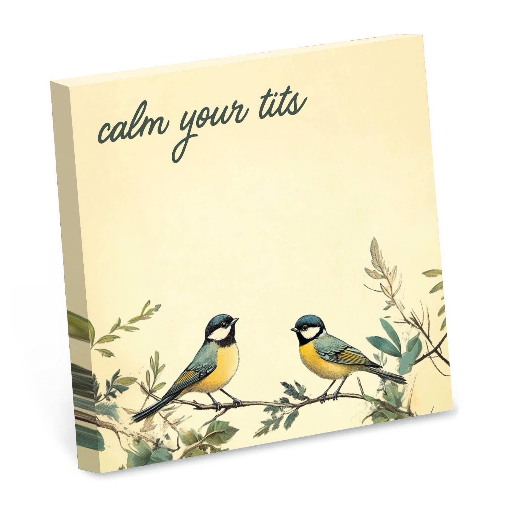 Calm Your Tits Sticky Note Pad - Just Fabulous Palm Springs