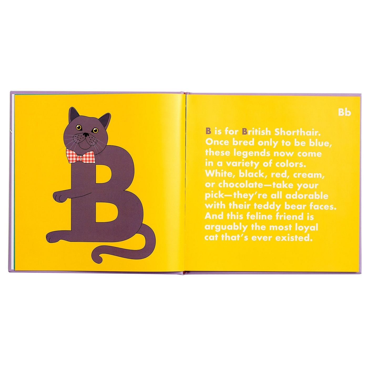 Cat Alphabet Book