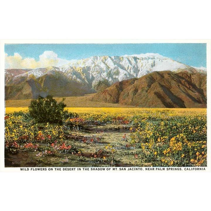 Mt. San Jacinto Palm Springs Postcard