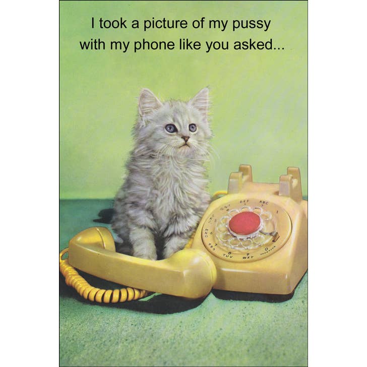 Pussy Cat Greeting Card