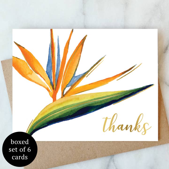 Birds Of Paradise Thank You Boxed Greeting Cards