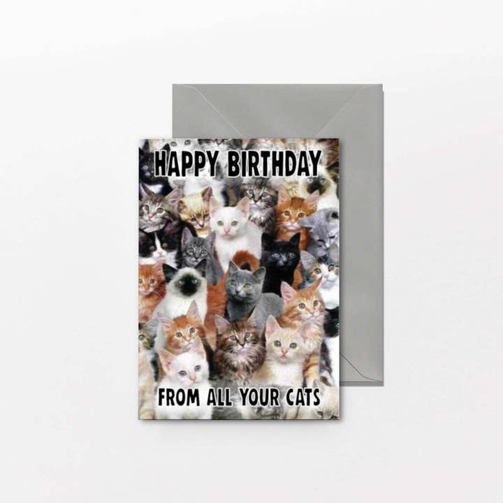 Happy Birthday From All Your Cats Birthday Card