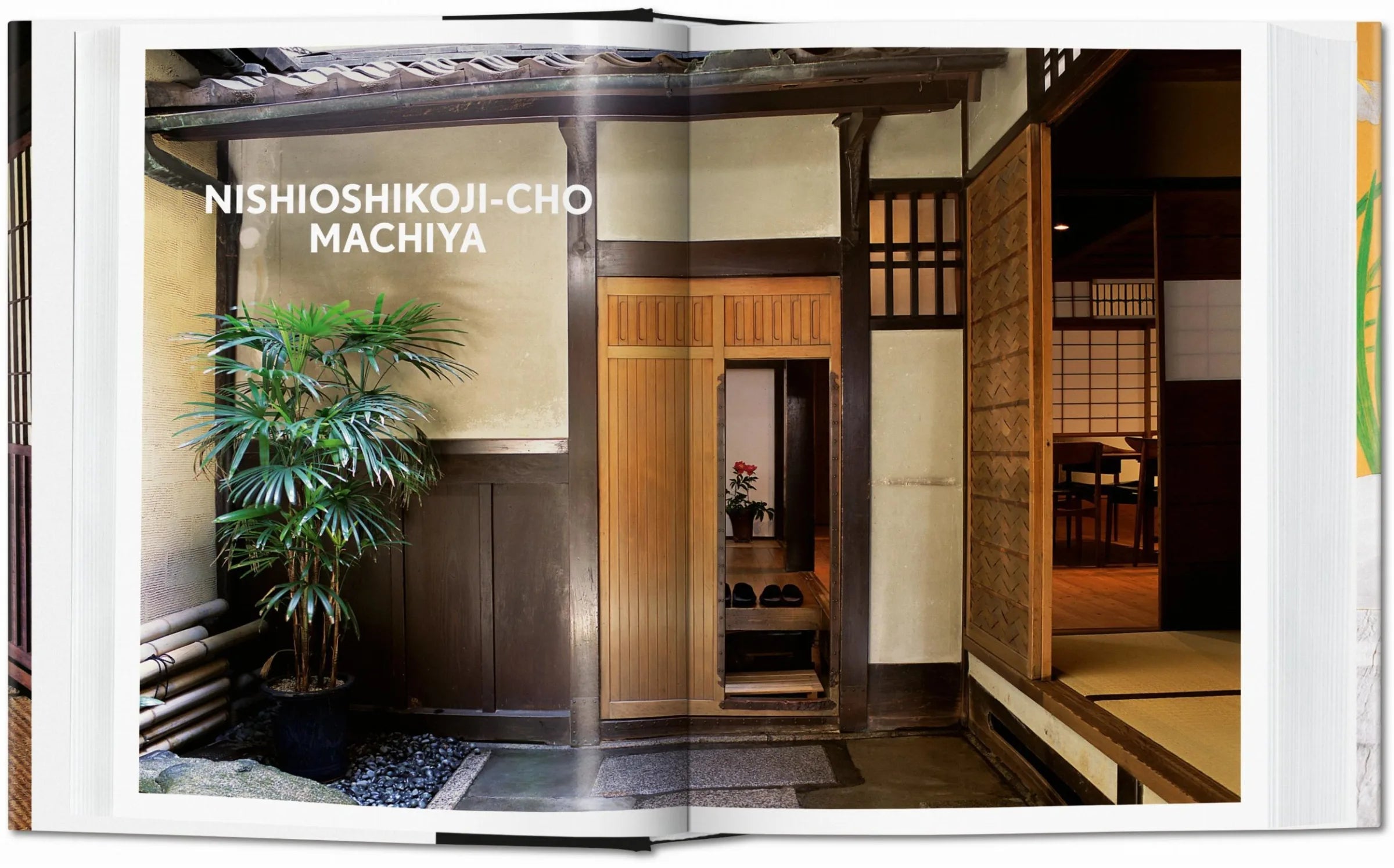 45th Anniversary: Living in Japan