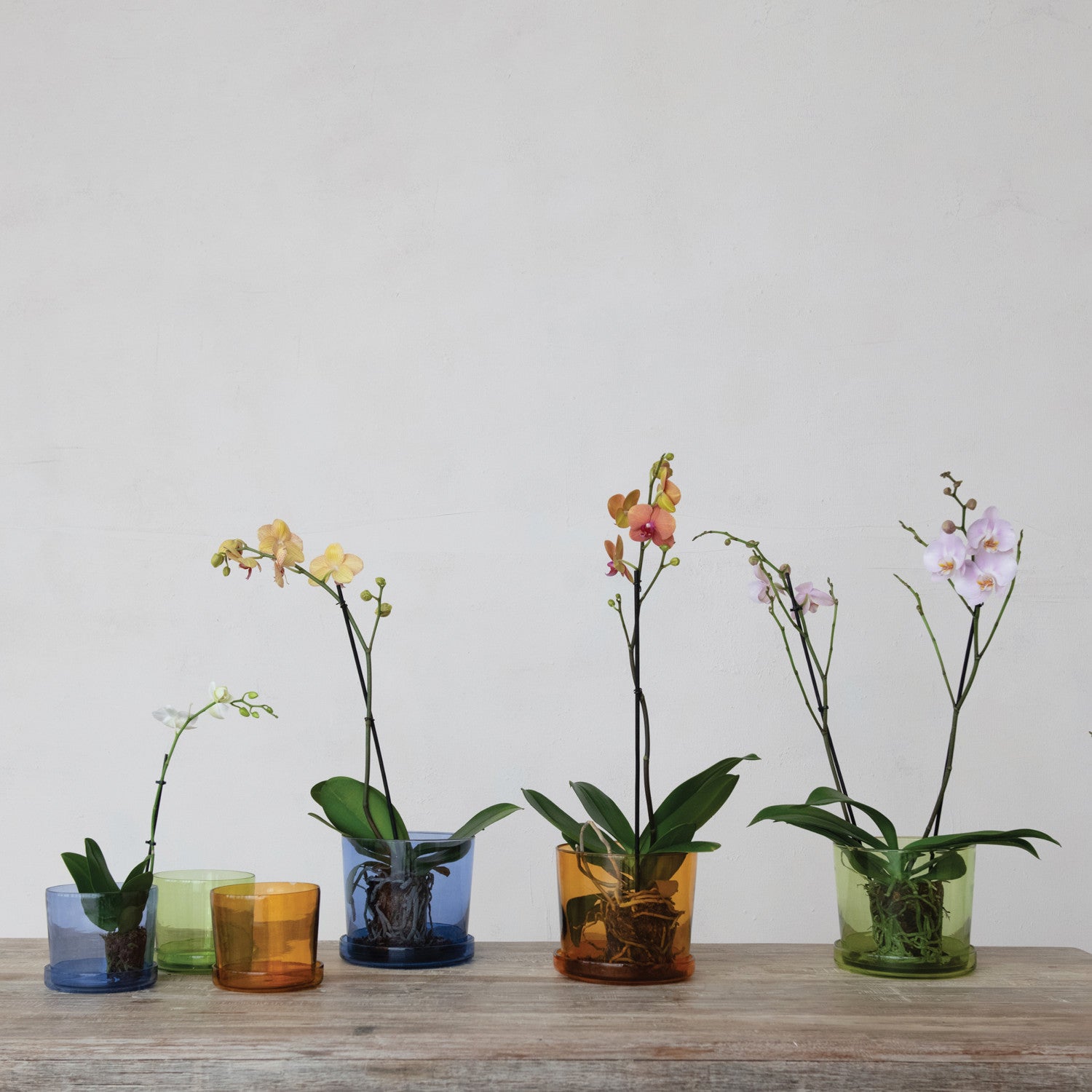 Hand Blown Planter With Saucer - Blue