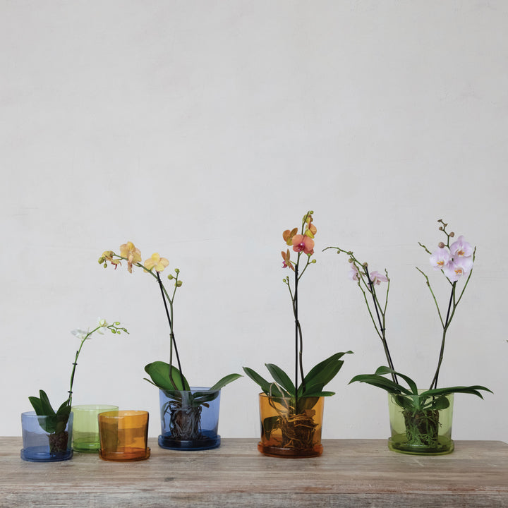 Hand Blown Planter With Saucer - Blue