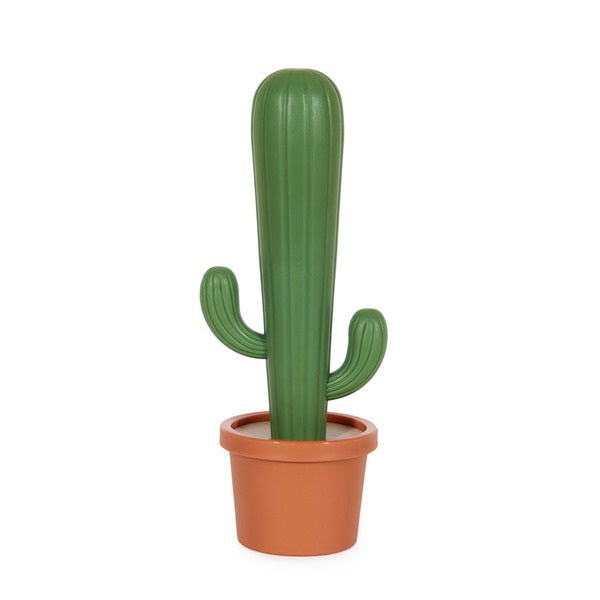 Cactus Dish Brush - Just Fabulous Palm Springs