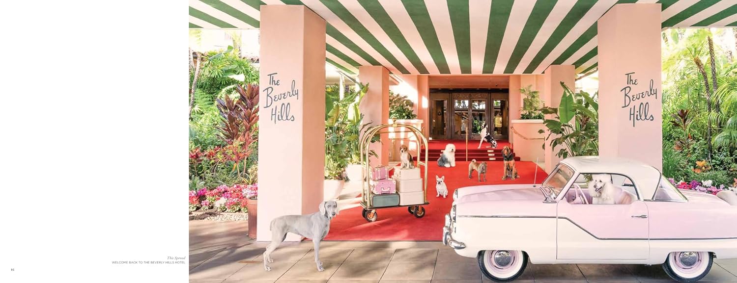 Gray Malin: Dogs - Just Fabulous Palm Springs