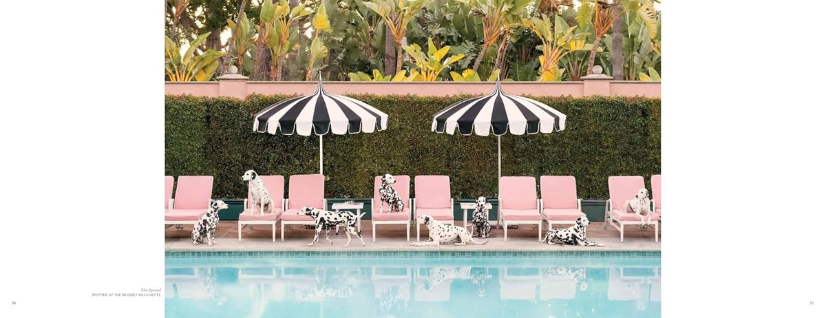 Gray Malin: Dogs - Just Fabulous Palm Springs