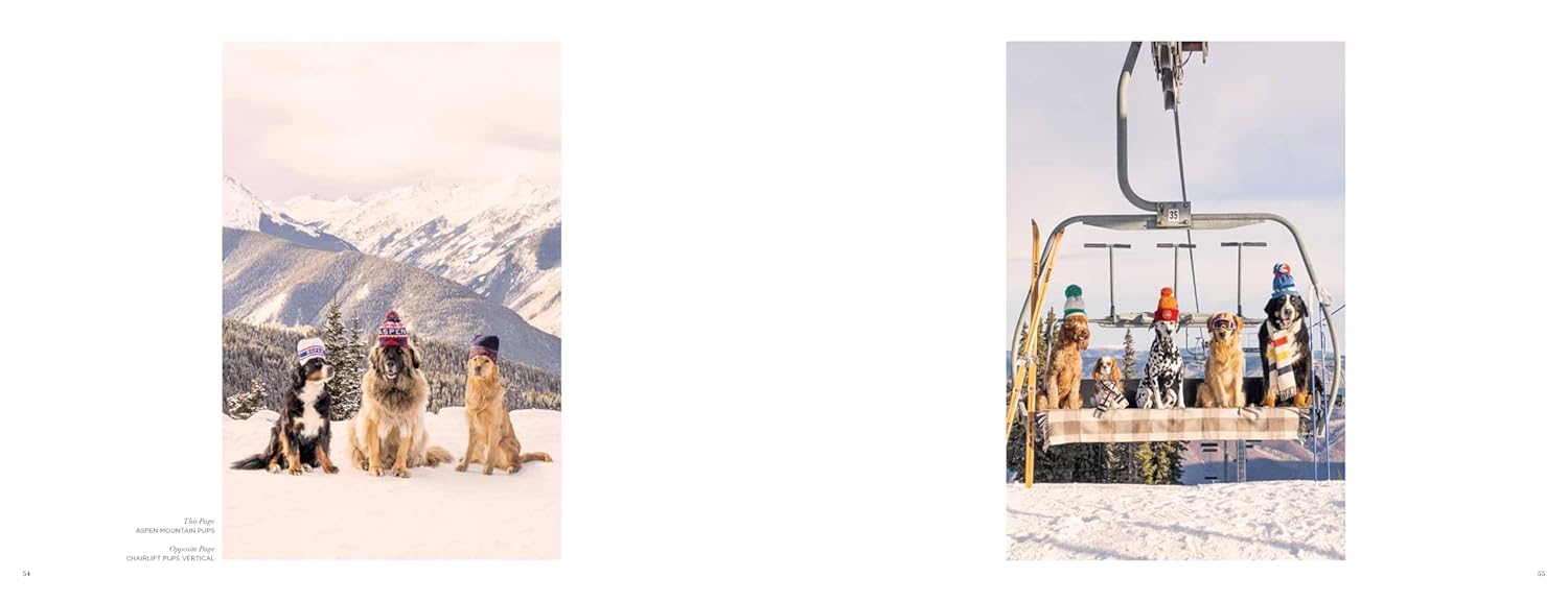 Gray Malin: Dogs - Just Fabulous Palm Springs