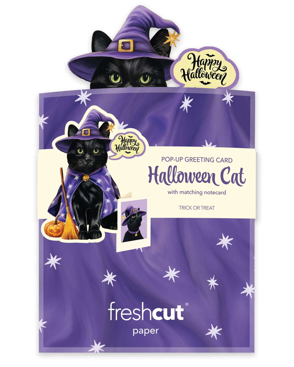 Mini Halloween Cat Pop Up Card