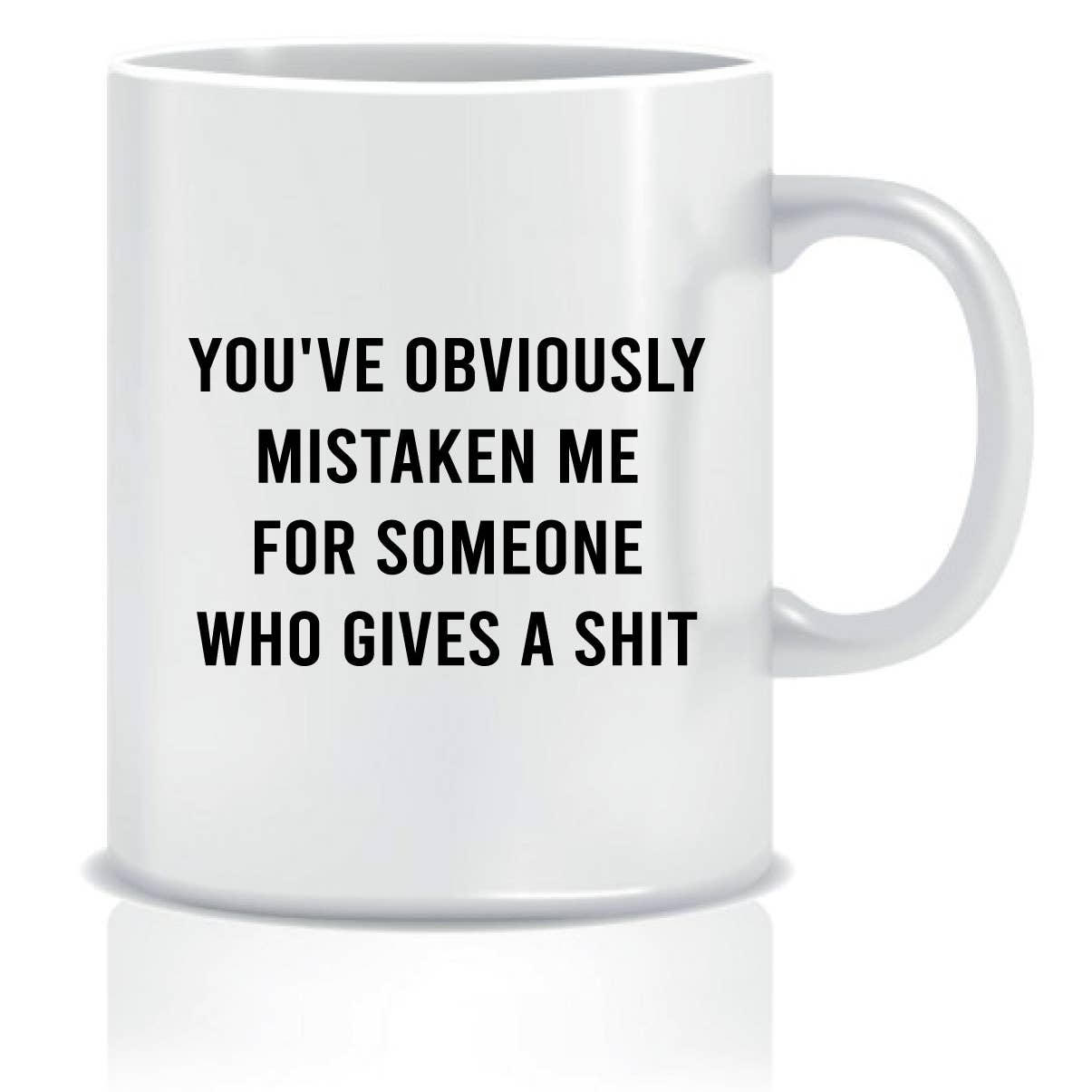You've Obviously Mistaken Mug