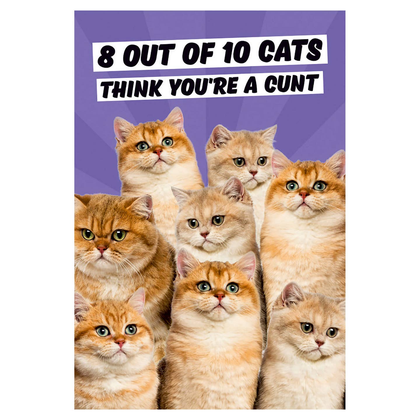 8 Out Of 10 Cats Magnet - Just Fabulous Palm Springs