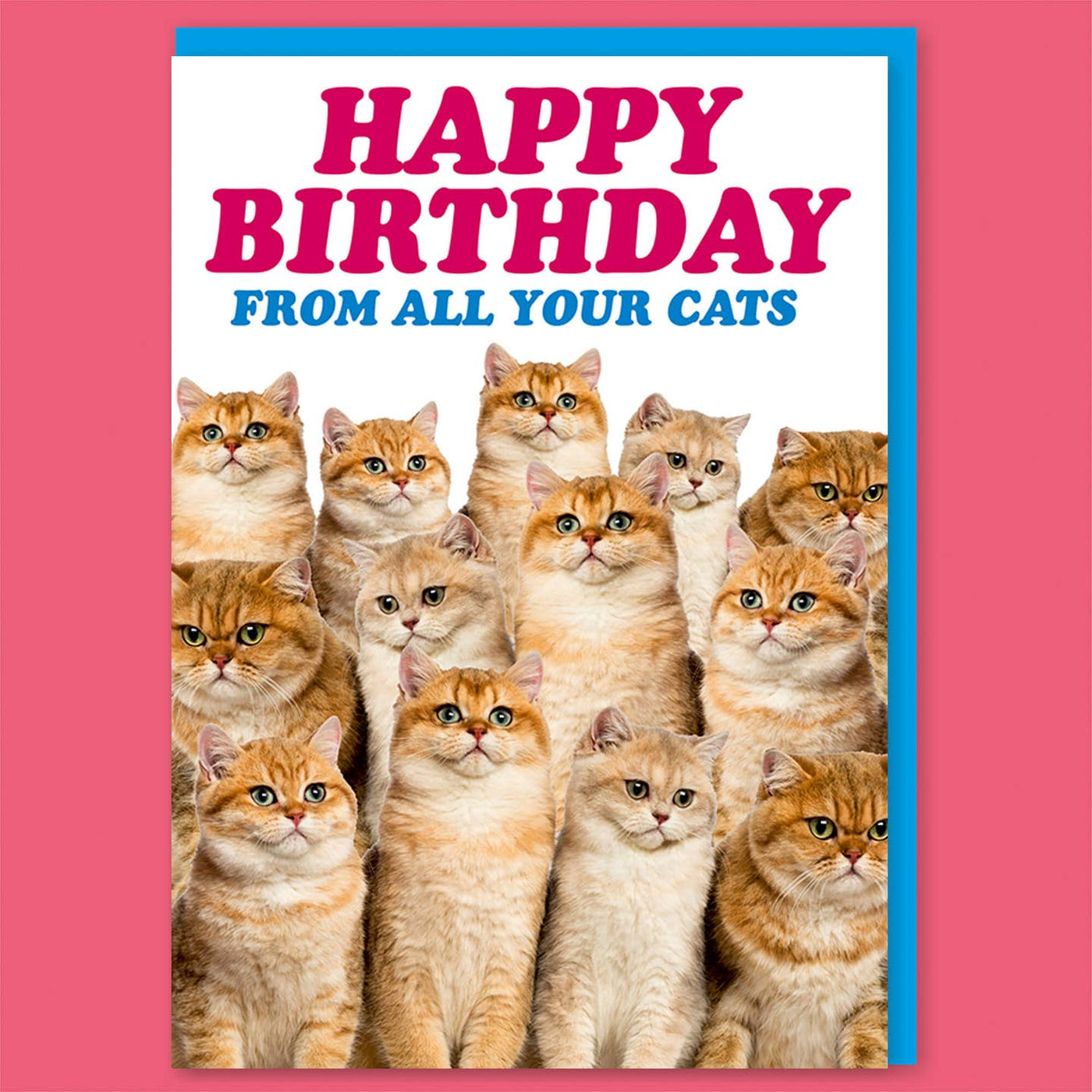 From All Your Cats Birthday Card