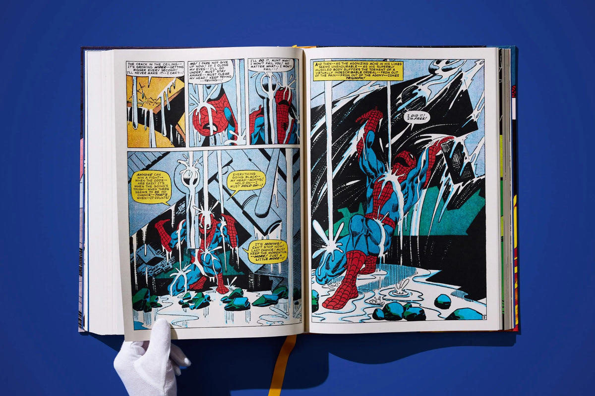 Marvel Comics Library: Spider-Man. Vol. 2 - 1965–1966 XXL - Just Fabulous Palm Springs