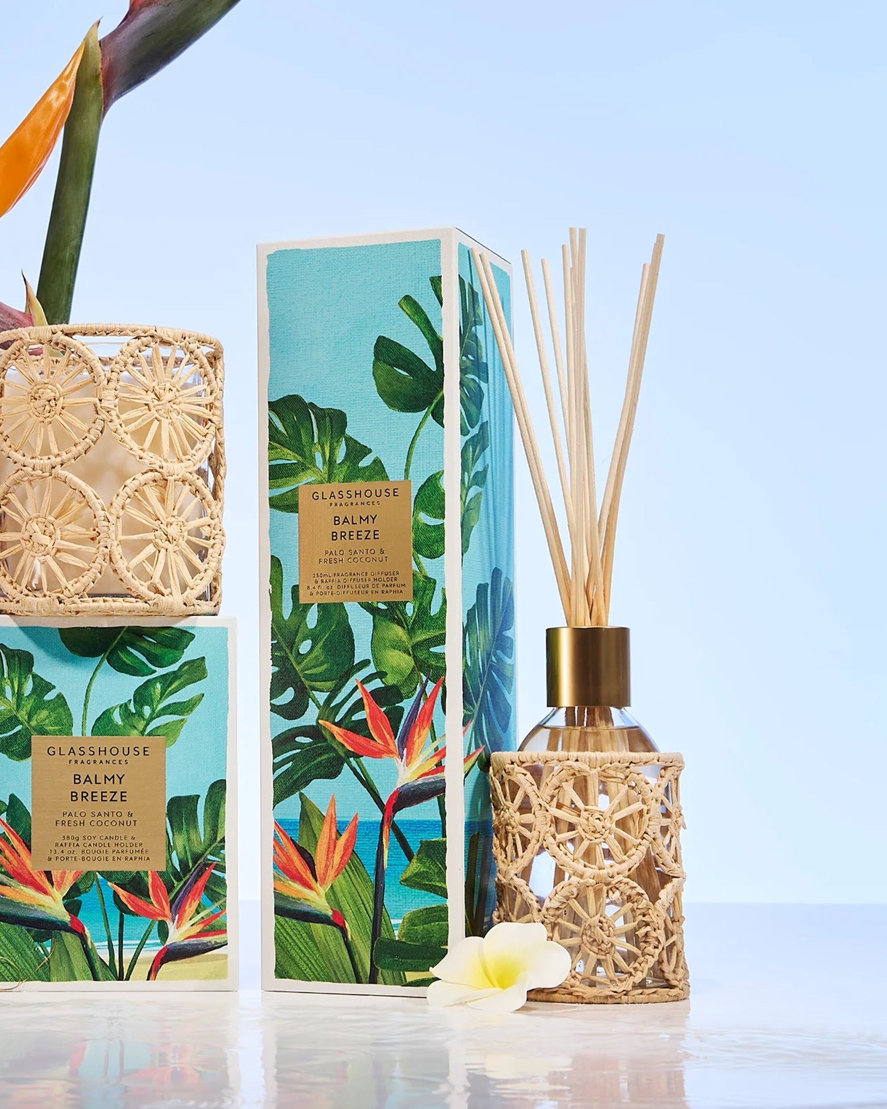 Glasshouse Fragrances Balmy Breeze 8.4 fl. oz. Fragrance Diffuser