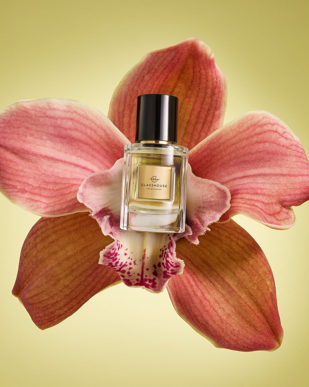 Glasshouse Fragrances Tuberose Immortelle 30ml Eau De Parfum