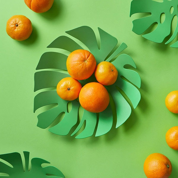 Green Monstera Fruit Platter